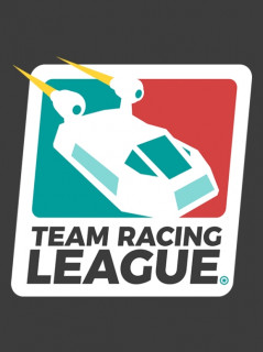 Team Racing League (PC) DIGITAL EARLY ACCESS PC