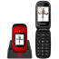 MOBIL Evolveo EasyPhone EP-700 FD Red thumbnail