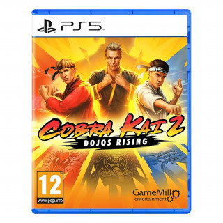 Cobra Kai 2: Dojos Rising PS5