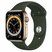 Apple Watch S6 GPS Cellular, 44mm Gold Stainless Steel Case with Cyprus Green 