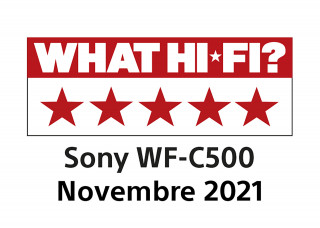 Sony WF-C500 Slúchadlá s mikrofónom True Wireless Stereo (TWS) Do ucha Hovor / hudba Bluetooth Čierna Mobile