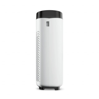 Rowenta PU2530F0 Black-White air cleaner Home