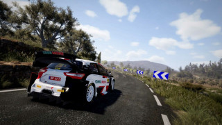 WRC 10 FIA World Rally Championship - Deluxe Edition (Downloadable) PC