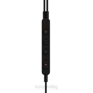 Pioneer SE-LTC3R-K Rayz Black Lightning microphone earphone Mobile