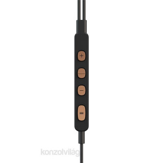 Pioneer SE-LTC5R-T Rayz Plus Bronze Lightning noise canceling microphone earphone Mobile