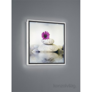 TRIO R22140101 Zen wall Light Home