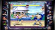 Street Fighter 30th Anniversary Collection (PC) (Downloadable) + Ultra Street Fighter IV! thumbnail