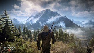 The Witcher 3 Wild Hunt  PC