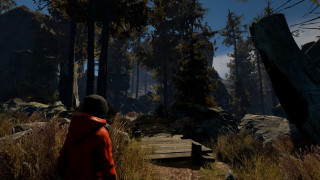 Through the Woods Collector's Edition (PC) (Download) PC