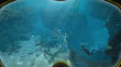 World of Diving (PC) DIGITAL thumbnail