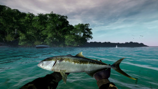 Ultimate Fishing Simulator (PC) Download PC