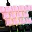 HyperX Rubber Keycaps Pink US thumbnail