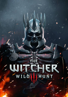 The Witcher 3 Wild Hunt  PC