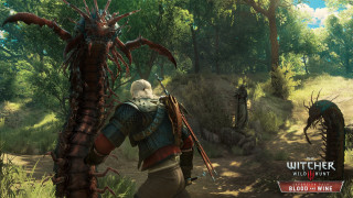 The Witcher III (3) Wild Hunt Blood and Wine PC