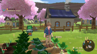 Harvest Moon: The Winds of Anthos  Switch